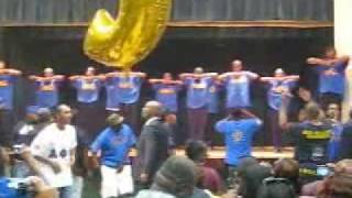 APhiQ Probate Step amp Stroll [upl. by Roose17]