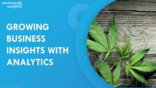 Growing Business Insights with Analytics Webinar [upl. by Edelsten]