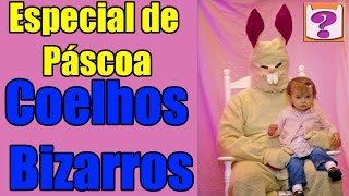 Especial de Páscoa coelhos bizarros Feliz Páscoa a todos [upl. by Deryl]