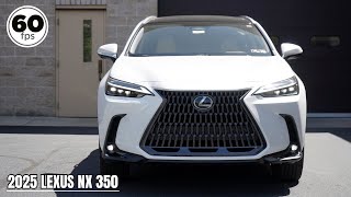 2025 Lexus NX 350 Review  The BEST Subcompact Luxury SUV [upl. by Carder]