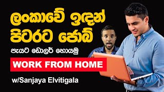 වෘත්තිකයන් හට පිටරට work from home jobs ලංකාවෙ ඉදන් ම කරන විදිහ [upl. by Senaj]