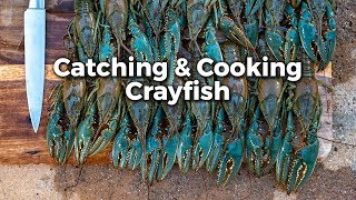 Crayfish Catch em and Cook em [upl. by Penrod]