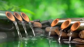 Relaxing Music  Spa Music Massage Yoga Sleep Music Running Water Stress Relief Music Zen [upl. by Osrit]