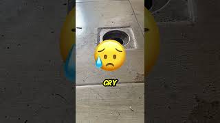 Animal rescued from drain 😢animals shorts [upl. by Ahseneuq]