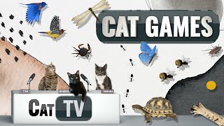 Cat Games  Ultimate Cat TV Compilation Vol 12  1 HOUR 🐱📺🎈🦜🐜🐭🧵🐝🐞🦋🦎 [upl. by Tu921]