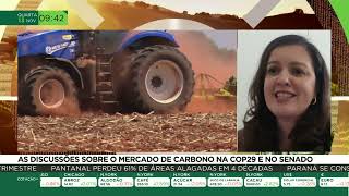 As Discussões sobre o Mercado de Carbono na COP 29 e no Senado [upl. by Illyes233]