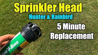 How To Replace A Sprinkler Head In Under 5 Minutes [upl. by Agee984]