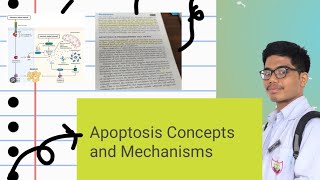 Apoptosis Part 1  Definition of Apoptosis Physiological Causes of Apoptosis [upl. by Alina567]