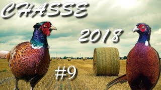 CHASSE DU FAISAN EN SOLOGNE AU 410 MAGNUM 9 2018 [upl. by Allyce]