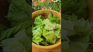 Lettuce salad🤤 [upl. by Nahrut459]