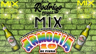 MIX ARMONIA 10  La Duda Solo Escribeme Serpiente  DJ RODRIGO REYES [upl. by Ntsud]