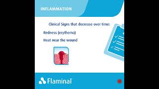 Do you know the difference between inflammation and infection [upl. by Delfine]