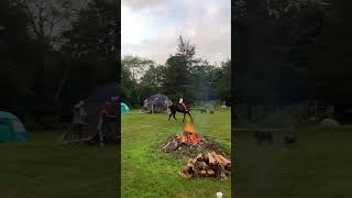 Camping with Dogs  Horses Wildling Style [upl. by Sadnac]