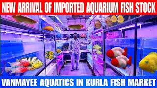 New Arrival Of Imported Aquarium Fish Stock  Vanmayee Aquatics In Kurla Fish Market [upl. by Kegan]