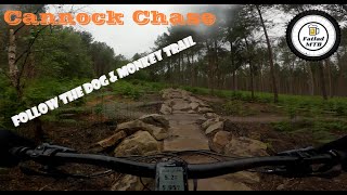 Cannock Chase  Follow the dog amp Monkey trail  2021 Turbo Levo [upl. by Imef499]