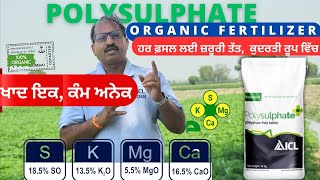 ਚਾਰ ਤੱਤਾਂ ਵਾਲੀ ਕੁਦਰਤੀ ਖਾਦ ICL polysulphate use in paddy cotton crop [upl. by Thora538]