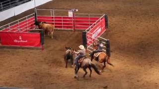 Calgary Stampede 2016  Team Cattle Penning 10 Class win [upl. by Raymund309]