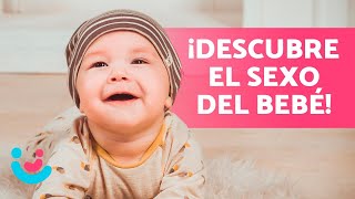 Cómo SABER si es NIÑO o NIÑA 🤰🏻👶🏻 ¡10 Trucos [upl. by Ziom]