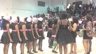 Tougaloo College Alpha Kappa Alpha Fall 2K14 probate [upl. by Noda]