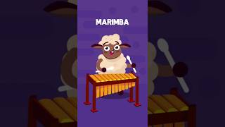 Marimba [upl. by Aicemaj]