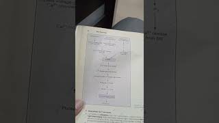 BRS Physiology Chapter 1 Cell Physiology Topic  Smooth Muscles and Table 13 [upl. by Yerfdog675]