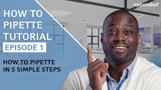 How to Pipette in 5 Simple Steps  Pipetting Tutorials  Ep 1 Micropipettes [upl. by Asyal]