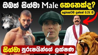 සිග්මා Male කියන්නේ කවුද  ලොව දුර්ලභ Sigma Male අයගේ ලක්ෂණ  Top 5 Sigma Male Signs Everything LK [upl. by Stag]