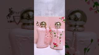 Delina Limited Edition perfume fragrance [upl. by Mumford]