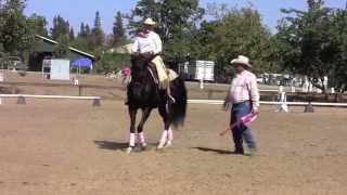 Cowboy Dressage Freestyle at the Gold N Grand Horse Show [upl. by Kennet]