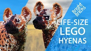 Life Size LEGO Hyenas [upl. by Akiemahs475]