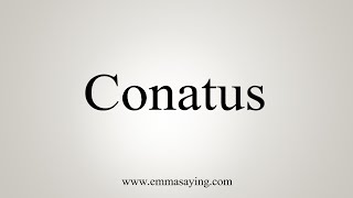 How To Say Conatus [upl. by Hammel]