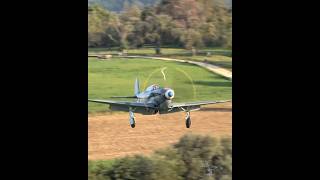 Yakovlev YAK3 landing on grass aircraft landing avgeek ww2warbirds [upl. by Noyek763]