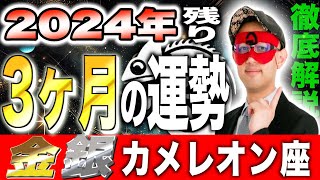 【ゲッターズ飯田】2024年最後の3ヶ月！予測する運勢の衝撃的真実【金のカメレオン座・銀のカメレオン座】 [upl. by Handbook]