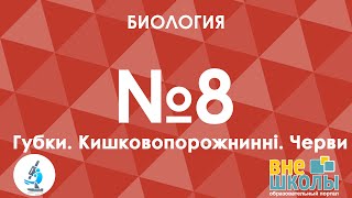 Онлайнурок ЗНО Биология №8 Губки Кишечнополостные Черви [upl. by Ymmor225]