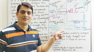 Lec4  Ionization techniques  El  CI  FAB  FD MALDI  ESI  TSI  APCI  APPI [upl. by Eelsha]