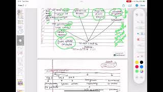 Stomach Full Pathology Robbins And Cotrans [upl. by Law]