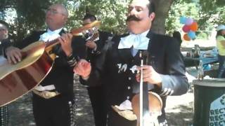 Mariachi Alma de Jalisco  Vida Prestadamov [upl. by Sousa280]