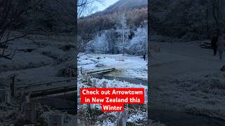 Check Out Arrowtown in New Zealand this Winter shorts [upl. by Naneek]