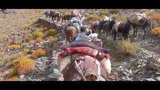 Ralakung is one of the Remotest village in Zanskar of district Kargil [upl. by Rebma593]