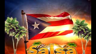 salsa puerto rico mix [upl. by Olnek]