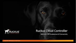 Add an AP to Ruckus Cloud and Troubleshoot Connectivity [upl. by Ninnahc]