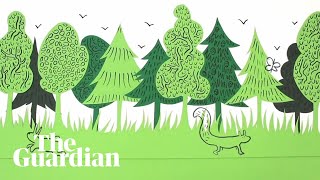 Rewilding made simple an animated guide [upl. by Lemuel]