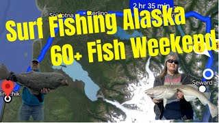 Sharing a 60 Fish Weekend surf fishing Seward Alaska with Dozens of People [upl. by Greeley]