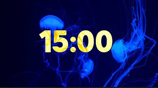 15 Minute Beautiful Jellyfish Timer with Soothing Music [upl. by Ade]