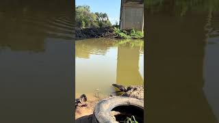 Brazos River fishing [upl. by Ellierim73]