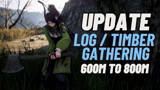 Spot Update Log and Timber Gathering 1 hour  2024 Edition  Black Desert Online [upl. by Bonucci]