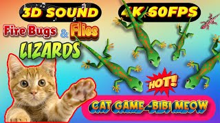 CAT GAMES TOM TV amp BiBi  Ultimate Compilation Catching The LIZARDS  Flies FireBugs🦎11 HOUR🦎Vol 50 [upl. by Uund559]