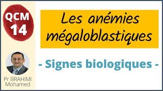 Anémie Mégaloblastique QCM 14 [upl. by Pedersen]