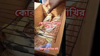 কোকাটেল পাখির বাচ্চা তে ভরপুর মিরপুর হাট। 😲😲 pakhirhaat lovebirds lovebirdpakhi কোকাটেল shorts [upl. by Longo]