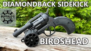 Diamondback Sidekick Birdshead  22lr  22 Mag [upl. by Aylatan347]